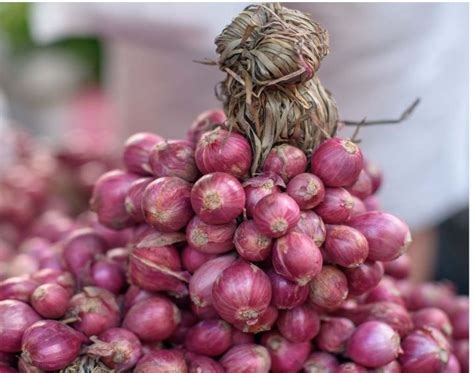 Fresh Shallots / Native Sibuyas / Lasuna | Lazada PH