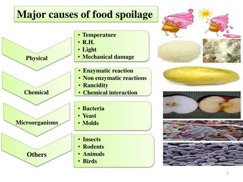 PPT - BIOCHEMISTRY OF FOOD SPOILAGE PowerPoint Presentation - ID:5833713