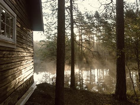 Free Images : tree, nature, forest, light, mist, sunlight, morning, lake, cabin, season, still ...