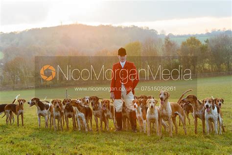 Image: Joe Tesseyman and the Essex & Suffolk Hunt foxhounds at Manor ...