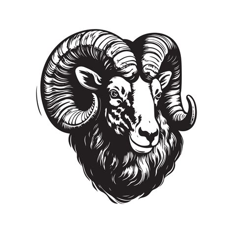 ram, vintage logo line art concept black and white color, hand drawn ...