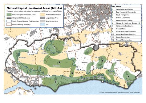 South Downs National Park launches major plan for nature recovery ...