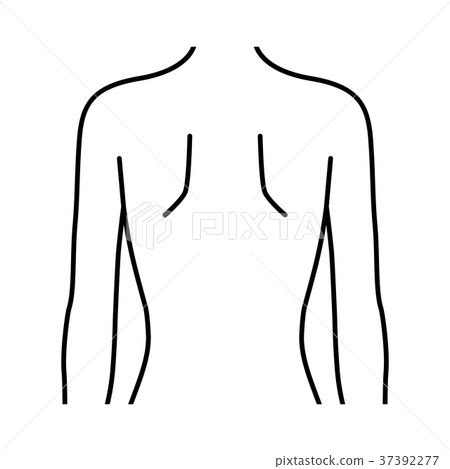 Woman's back (line drawing) - Stock Illustration [37392277] - PIXTA