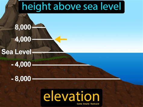 Grade 5 Revision