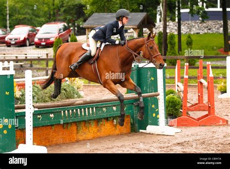 Bay horse jumping fence Stock Photo - Alamy