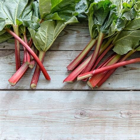 9 Rhubarb Benefits You Need to Know | Taste of Home