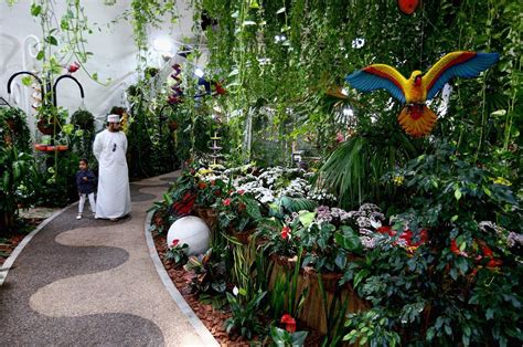 In pics: Dubai Butterfly Garden - Arabian Business: Latest News on the Middle East, Real Estate ...