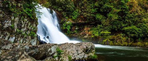 Hiking Abrams Falls Trail | Smoky Mountains TN