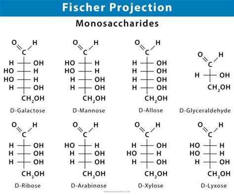 Deoxyribose Fischer Projection