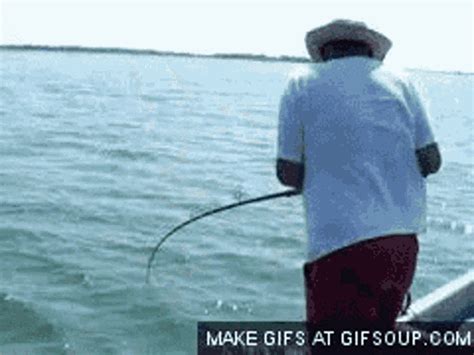 Fishing GIF - Fishing - Discover & Share GIFs