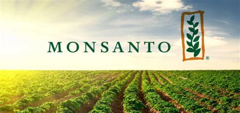 New herbicide-resistant GMO crops renew worries about Monsanto's seed ...