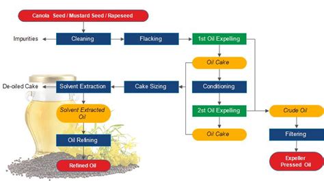 Start a Small Scale Canola Oil Manufacturing Plant