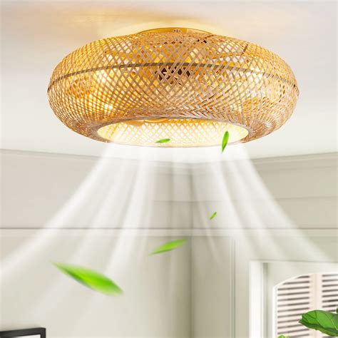 hummingbird 20" Boho Ceiling Fans with Lights and Remote,Rattan Flush Mount Ceiling Fan with ...