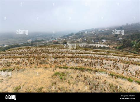 Rice terraces of Sapa, Vietnam Stock Photo - Alamy