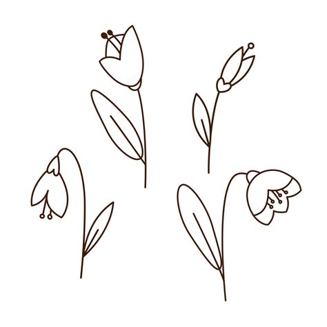 Snowdrop flowers drawing collection. Monochrome doodle outline illustration. Simple cartoon ...