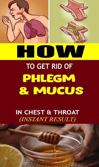 Get Rid of Phlegm and Mucus in Chest & Throat with These Home Remedies in 2020 | Getting rid of ...