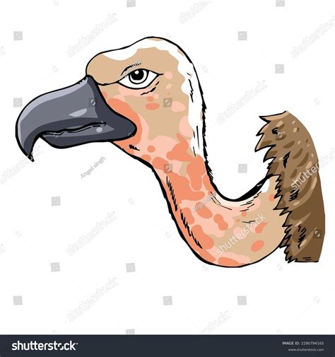 Ugly Bird: Over 1,243 Royalty-Free Licensable Stock Illustrations & Drawings | Shutterstock