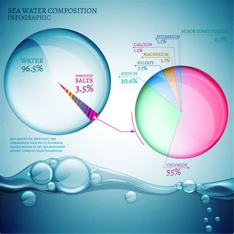 Sea water composition infographic vector 01 free download