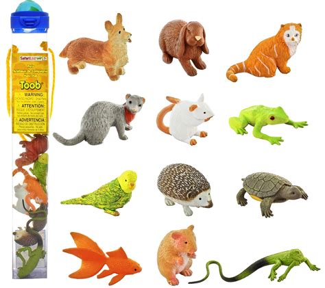 Amazon.com: Safari Ltd Pets TOOB: Toys & Games | Pets, Animals for kids ...