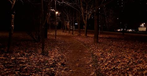 Path in Park at Night Free Stock Video Footage, Royalty-Free 4K & HD ...