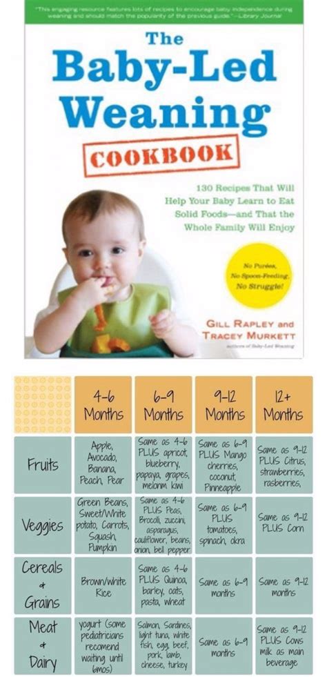 Baby Led Weaning Tips, Recipes, First Foods and More - Clever DIY Ideas ...