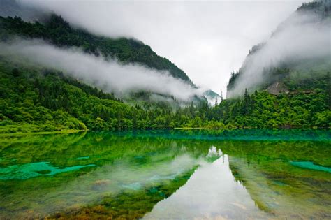 Jiuzhaigou Nature Reserve, China, Lake, Clear Water, Trees, Mountain ...