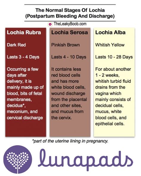 Everything You Need To Know About Postpartum Bleeding And Periods After Childbirth