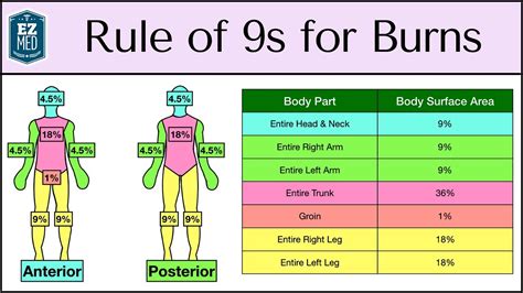 Rule of Nines for Burns: A Comprehensive Guide to Assessing Burn Severity