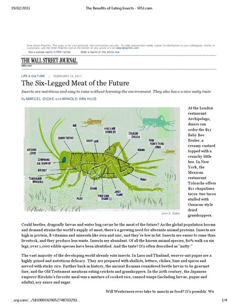 The Benefits of Eating Insects - WSJ by Insect Centre - Issuu