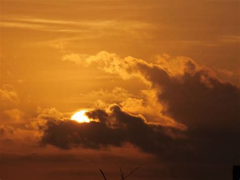 Gambar : langit mendung, garis pohon, siang hari, gumpalan awan ...