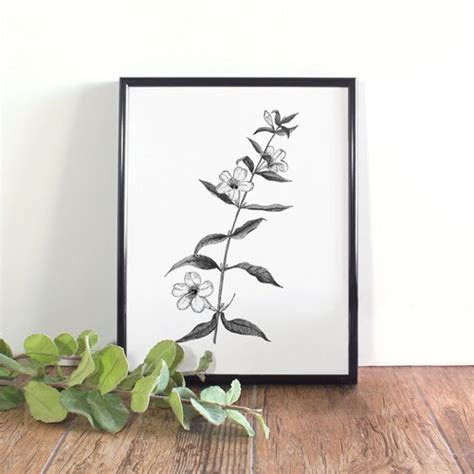 Yellow Jessamine Botanical Illustration Botanical Wall Art - Etsy