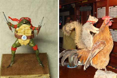 A Look At The World's Weirdest Taxidermy | truongquoctesaigon.edu.vn