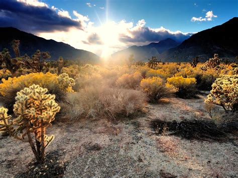 The Most Beautiful Deserts in the World - Photos - Condé Nast Traveler