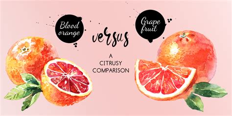 Blood Orange vs. Grapefruit: A Citrusy Comparison - Tastylicious