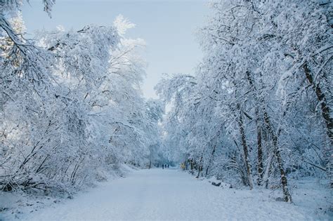 Utah Winter Wonderland