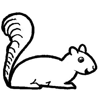 How to Draw Cartoon Squirrels with Simple Step by Step Drawing Lesson – How to Draw Step by Step ...