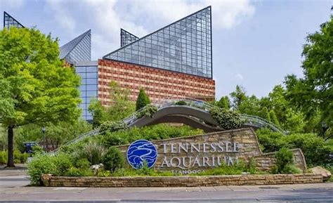 Tennessee Aquarium, Chattanooga - Exhibit, Hotels