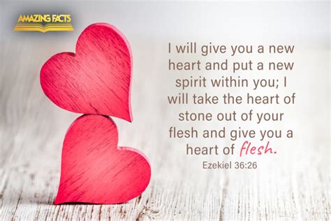 Verse of the Day - Ezekiel 36:26 KJV - Highland Park Baptist Church ...