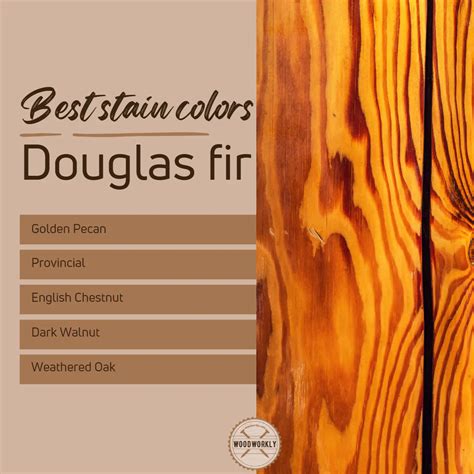 Staining Douglas Fir + Best Stain Colors [2023 Guide!]