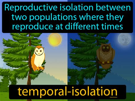 Temporal Isolation Definition & Image | GameSmartz