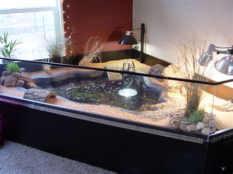 How To Make Turtle Aquarium At Home - Aquarium Views