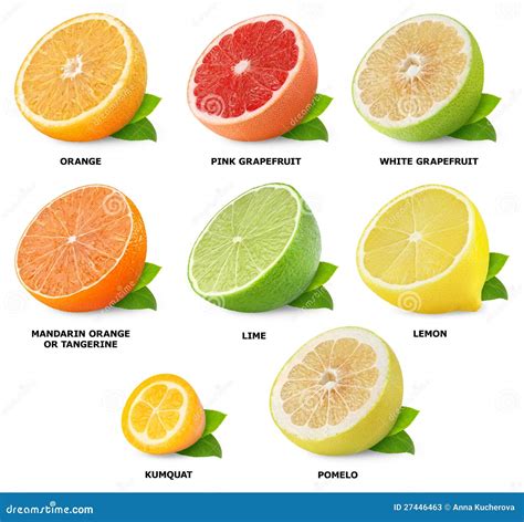 Citrus Fruits Collection Stock Photos - Image: 27446463