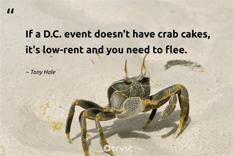 25 Crab Quotes Full Of Crustacean Wisdom