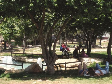 Independence Park | Attractions in Tel Aviv Beach , Israel