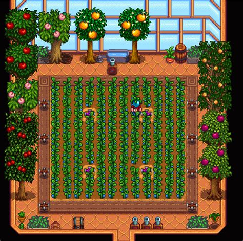 I did a little stardew on my flight back from asia. My ancient fruit ...