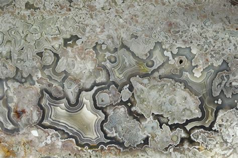 3.9" Polished Crazy Lace Agate Slab - Mexico (#141197) For Sale - FossilEra.com