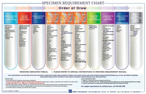 order of blood draw tubes and additives - Carrying A Fetus Diary Image ...