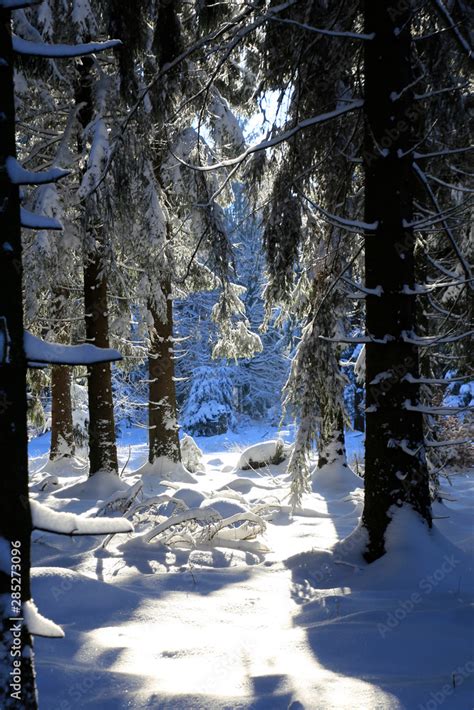 Thueringer Wald - Rennsteig, Thuringian Forest Nature Park, Germany ...