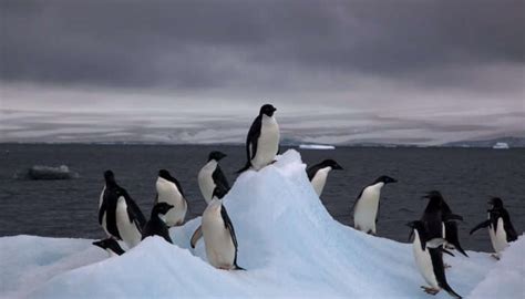 8 Awesome Places To Visit In Antarctica That You'll Surely Love