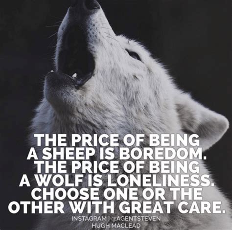 What Alpha Wolves are REALLY Like | The Art of Manliness